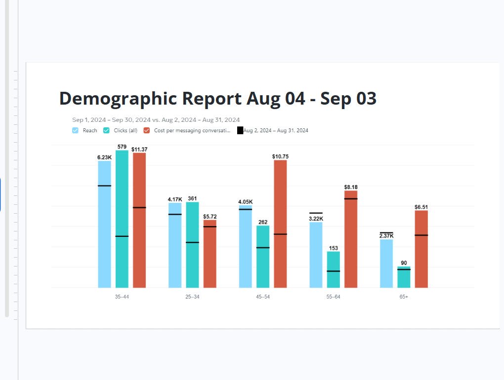 Demographic marketing report comparing August and September 2024